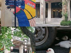 -赤坎·广东华侨国际旅游度假区