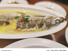-鲁宴·鲁煨黄河生态大鲤鱼(月坛店)