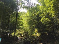 -山沟沟景区