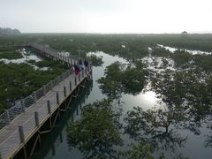 -北海金海湾红树林生态旅游区