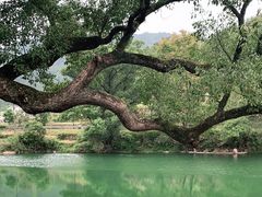 -上坦村