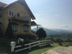 -黄色小屋