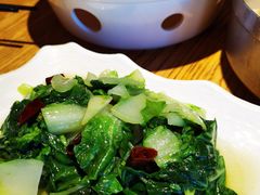 -滇铺子·云南特色菜·第九届野生菌美食节(东风东路c86店)