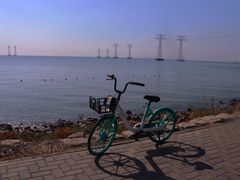 -宝安西湾红树林湿地公园