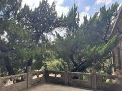 -紫金山天文台