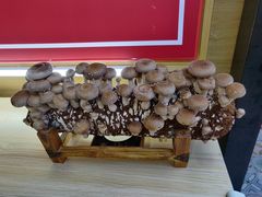 -大喜牛鲜牛肉火锅(营迹路店)