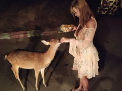 -清迈夜间动物园