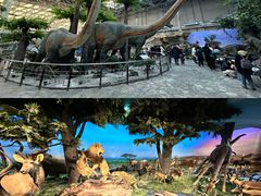 -国家自然博物馆