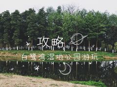 -白鹭湾湿地公园