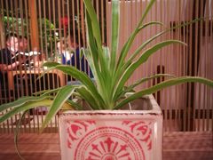 -静颐茶馆·素食(龙华店)