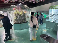 -上海大自然野生昆虫馆(东方明珠·爬宠昆虫探索中心)