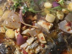 -重庆火锅水库鱼庄(南油店)
