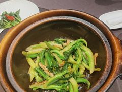 虾酱炒芥兰-逸馥荟(人广来福士店)