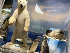 -国家自然博物馆