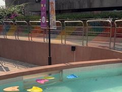 -帕帕拉兹宠物(亚洲旗舰店)