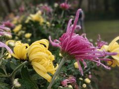 -共青国家森林公园-售票处
