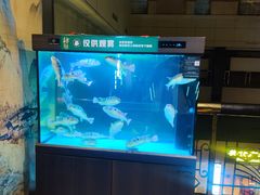 -肆月河豚·淮扬菜·湘菜(华天店)