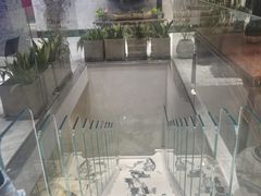 -金尚源SHANG