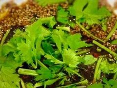 -回坊马二饺子馆