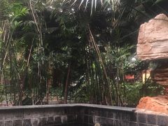 -龙达温泉生态城