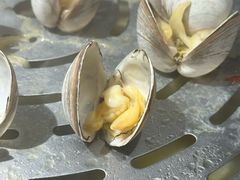 白蛤-阿鸡鱼庄·顺德鲜蒸小炒(亚运村店)