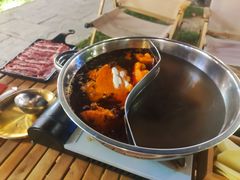 -十亩森林