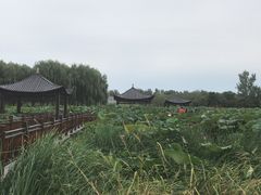 -门城湖公园