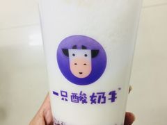 -一只酸奶牛(奎星楼店)