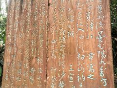 -峨眉山报国寺