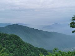 -王顺山国家森林公园