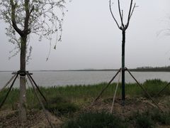 -天津东丽湖风景区