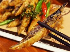 -顺德了能馆(虎门店)