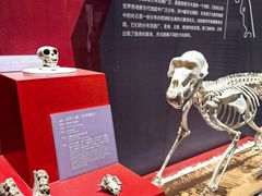 -国家自然博物馆