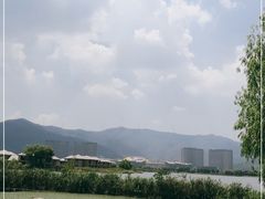 -长兴太湖图影湿地文化园