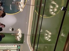 -望湘园·小雅(德基店)