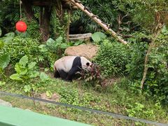 -深圳野生动物园