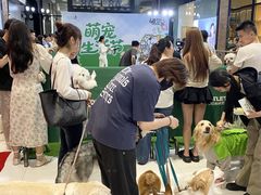 -砂之船奥特莱斯(合肥店)