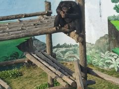 -西霞口神雕山野生动物世界