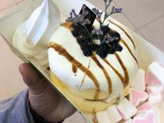 -狐狸和向日葵(北京路店)