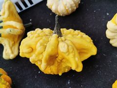 -中环花鸟鱼虫市场