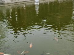 -檀园