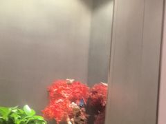 -蝎王府羊蝎子(西直门店)