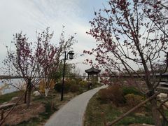-水西公园