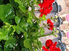 -木王宴语·野生鲜菌火锅(玉河店)