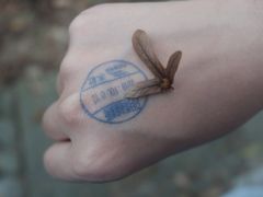 -日月潭