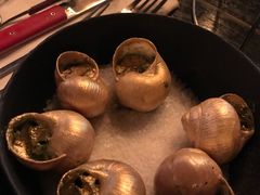 -金蜗牛