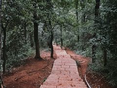 -九曜山