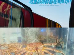 -海底捞大排档火锅(打浦路店)