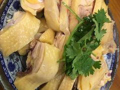 三黄鸡-九斤黄三黄鸡专卖店