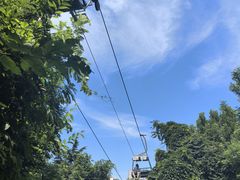 -富斯特索道